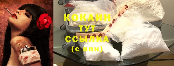 ПСИЛОЦИБИНОВЫЕ ГРИБЫ Аркадак