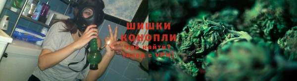ПСИЛОЦИБИНОВЫЕ ГРИБЫ Аркадак