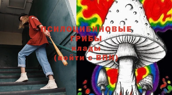 ПСИЛОЦИБИНОВЫЕ ГРИБЫ Аркадак