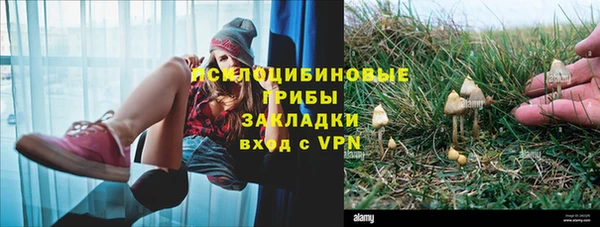 ПСИЛОЦИБИНОВЫЕ ГРИБЫ Аркадак